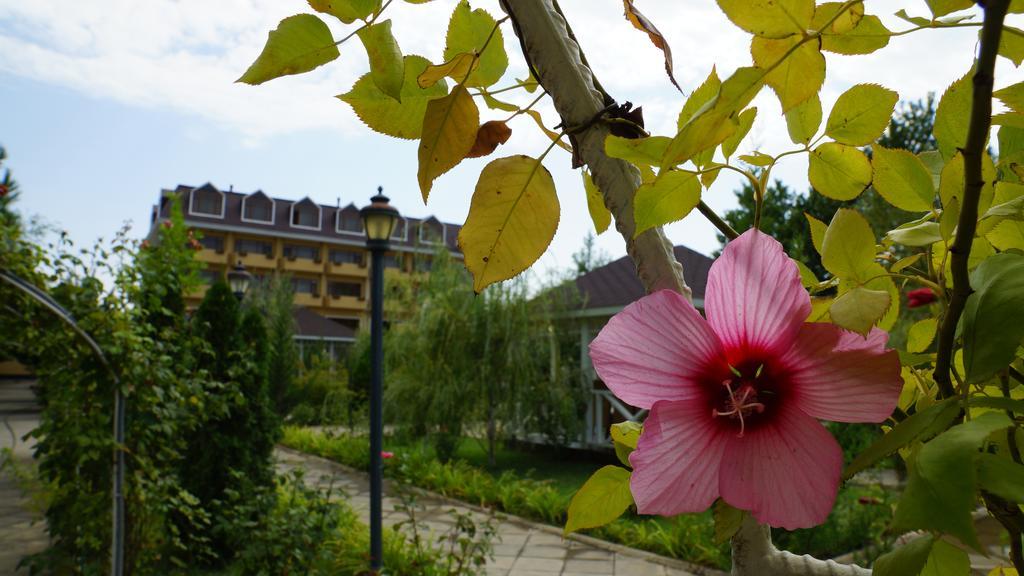 River Side Hotel Mingachevir Extérieur photo